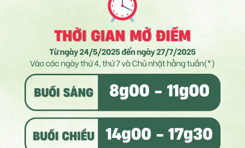 Công bố danh sách địa điểm tiếp nhận quy đổi Chương trình ''Đổi sách lấy cây'' năm 2025