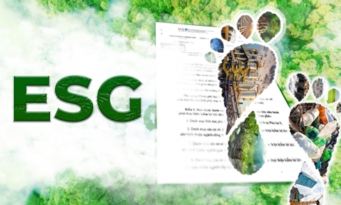 ESG Là Gì & Làm Thế Nào Để Doanh Nghiệp Của Bạn Dẫn Đầu?